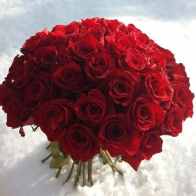 Buchet Red Roses Standard