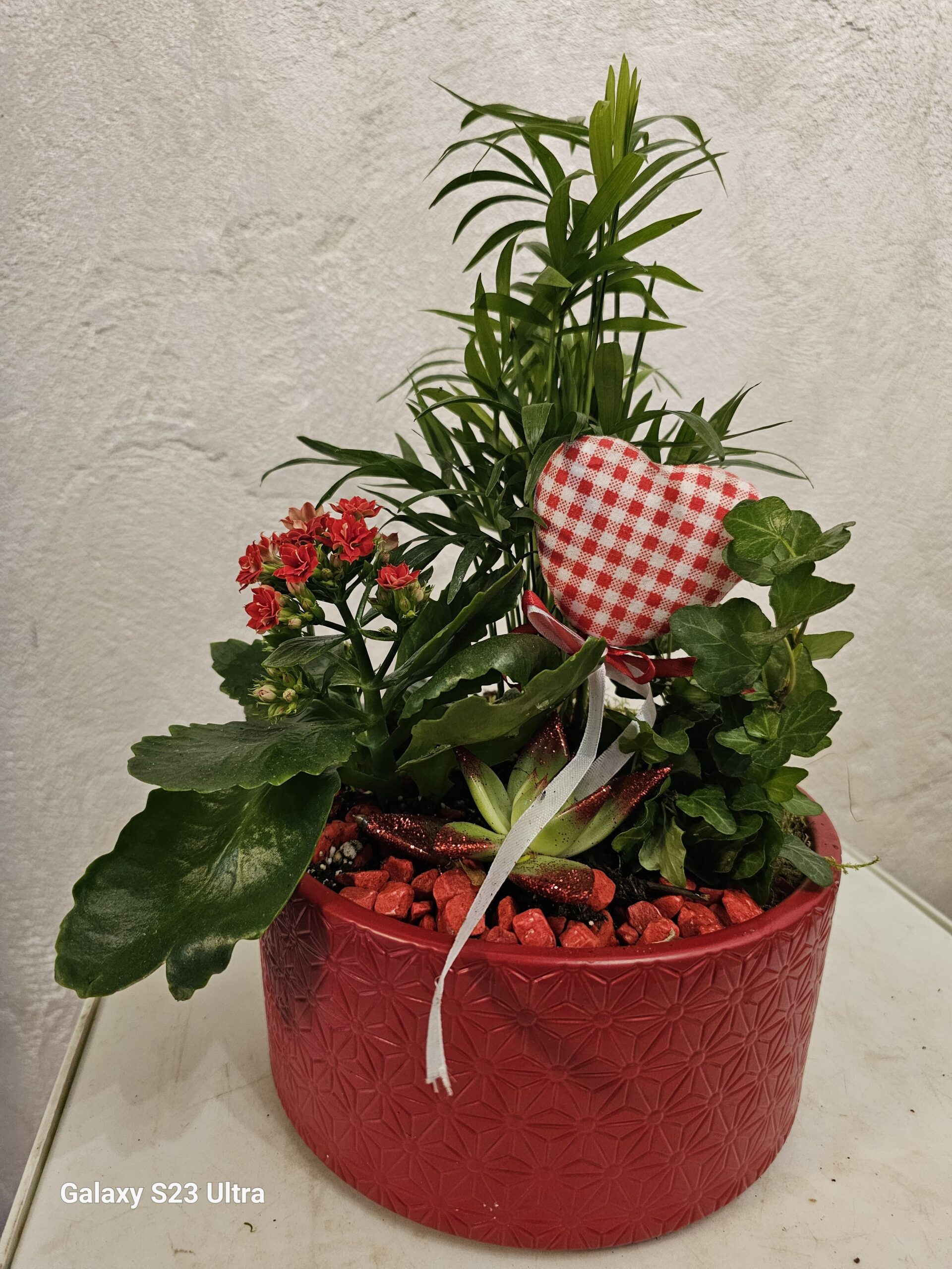 Aranjament plante #107