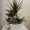 Aranjament plante spring #2
