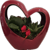 Aranjament plante Valentine's day!  #1