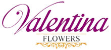 logo-valentina2